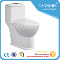 Small family of the siphon ceramic one piece toilet